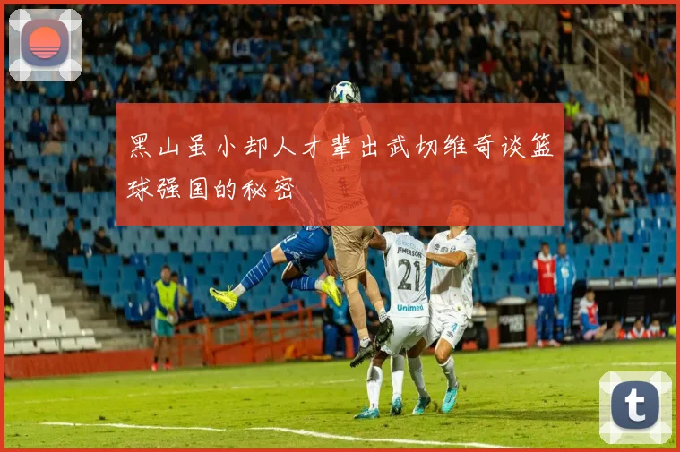 黑山虽小却人才辈出武切维奇谈篮球强国的秘密