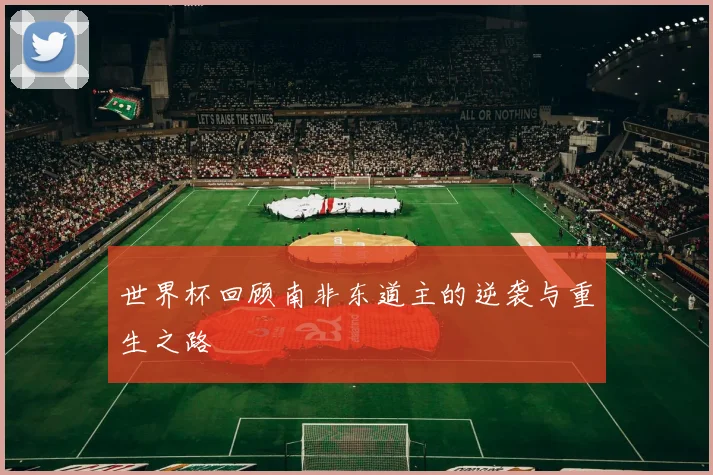 世界杯回顾南非东道主的逆袭与重生之路